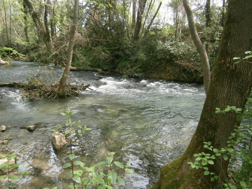 Gite Valescure Saint-Michel-de-Dèze Kültér fotó